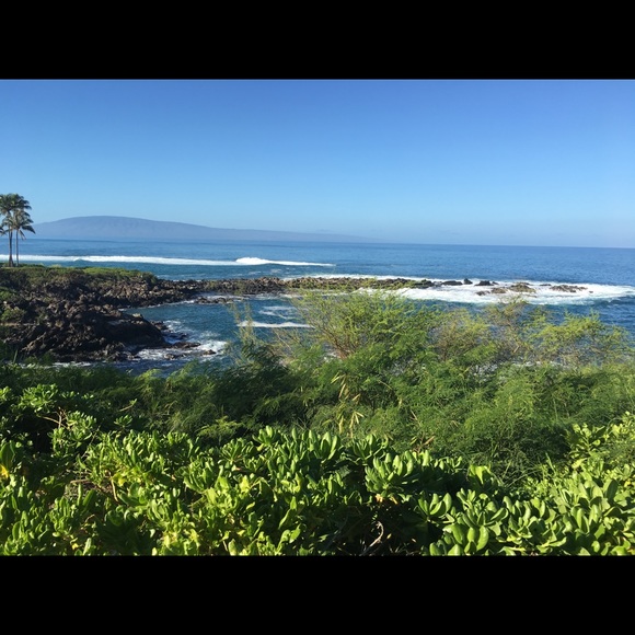 Meet your Posher, Taylor - Picture 1 of 1